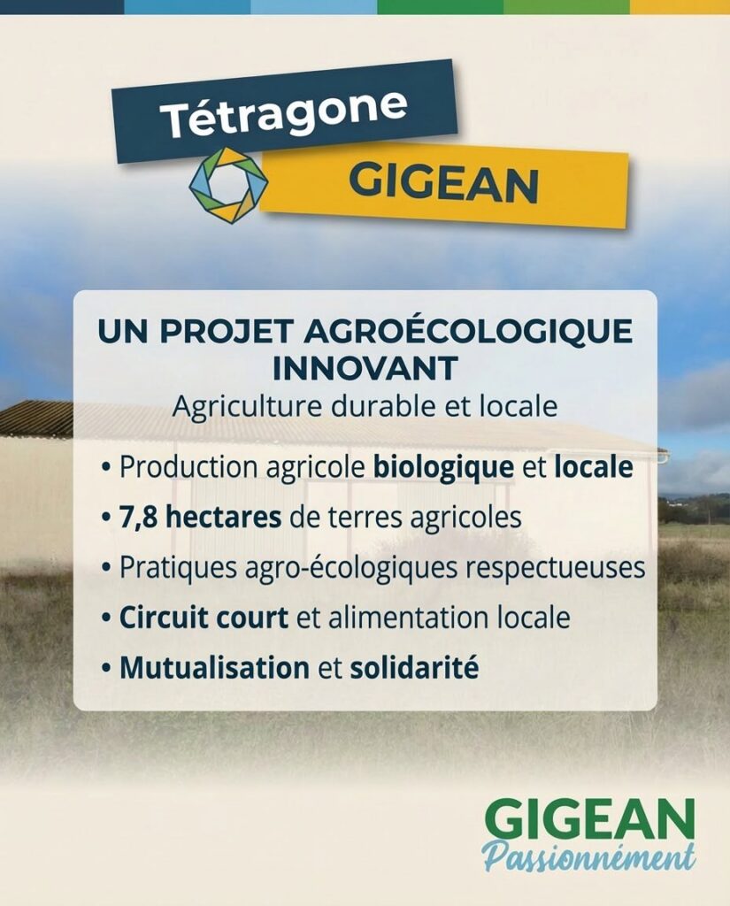 611665295 122114017521068999 5267865696599202234 n