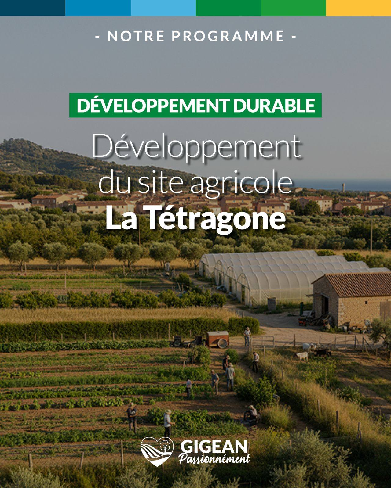 646332888 122120143989068999 5018444010976350869 n